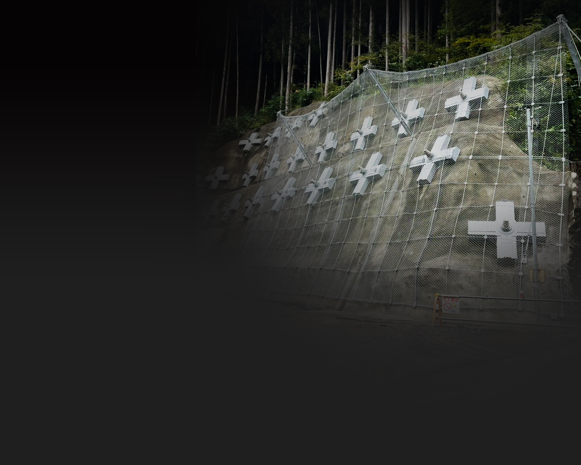 secondmain_bg